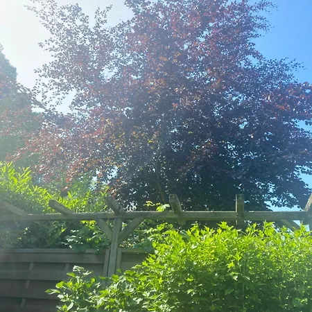 Lagune * Goehren (Ruegen)